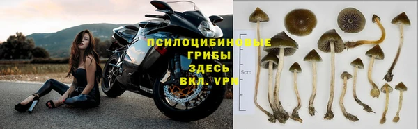 ГАЛЛЮЦИНОГЕННЫЕ ГРИБЫ Пестово