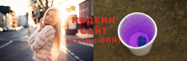 ГАЛЛЮЦИНОГЕННЫЕ ГРИБЫ Пестово