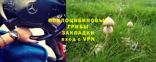 марки lsd Переславль-Залесский