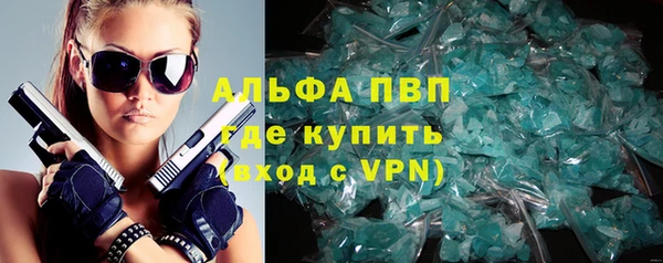 молекула духа Пересвет
