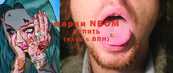 молекула духа Пересвет