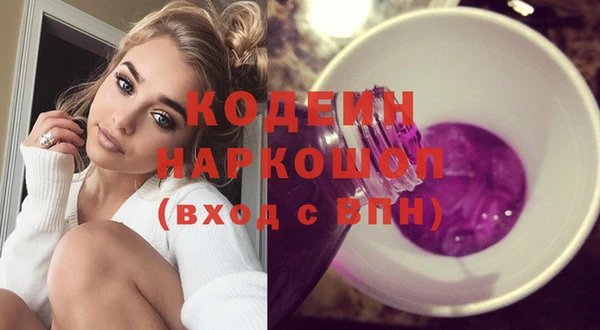молекула духа Пересвет