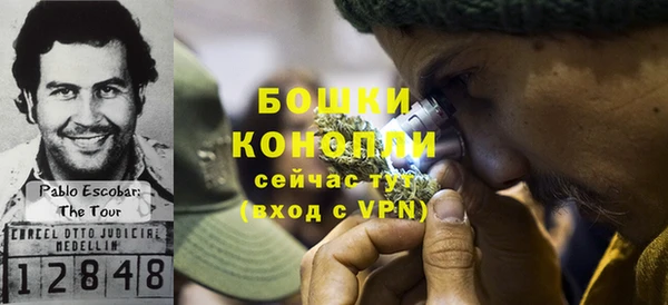молекула духа Пересвет