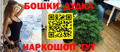 spice Камышлов