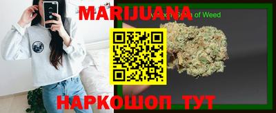 spice Камышлов