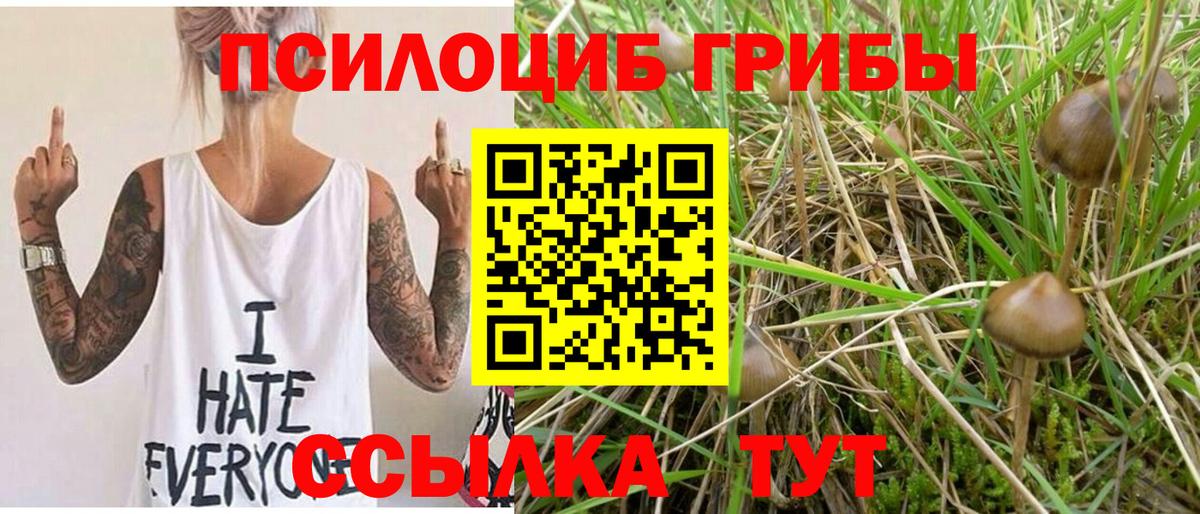 Галлюциногенные грибы мухоморы  Вход с VPN  Сатка 