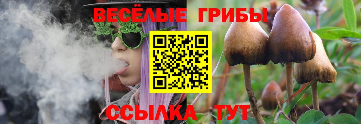 Где найти наркотики?  Канабис  Вход с VPN  Сатка  Cocaine  МЕФ  Каннабис 